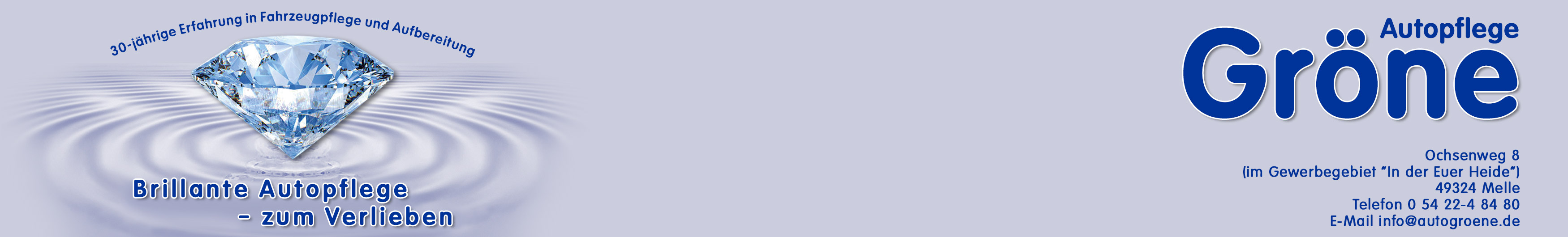 Autopflege Gr&ouml;ne - Startseite